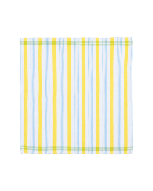 citrus napkin set (4 set)
